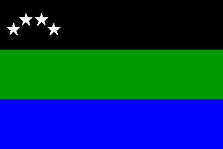 [M.L.I.C. flag]